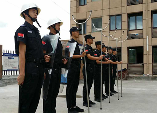 某企業執勤91成人抖音下载人力抖音污版免费下载